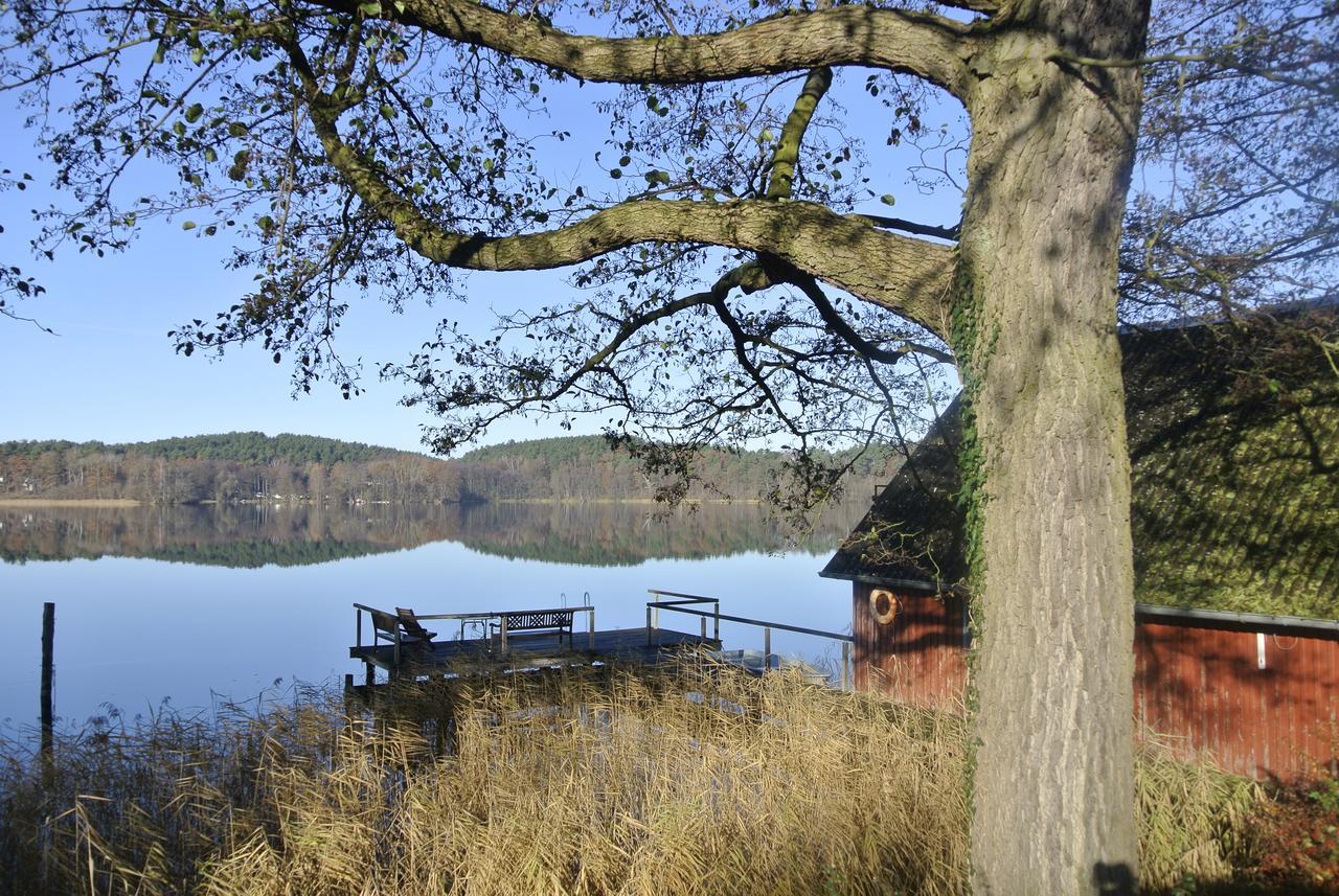 Seehotel Lindenhof Lychen Luaran gambar